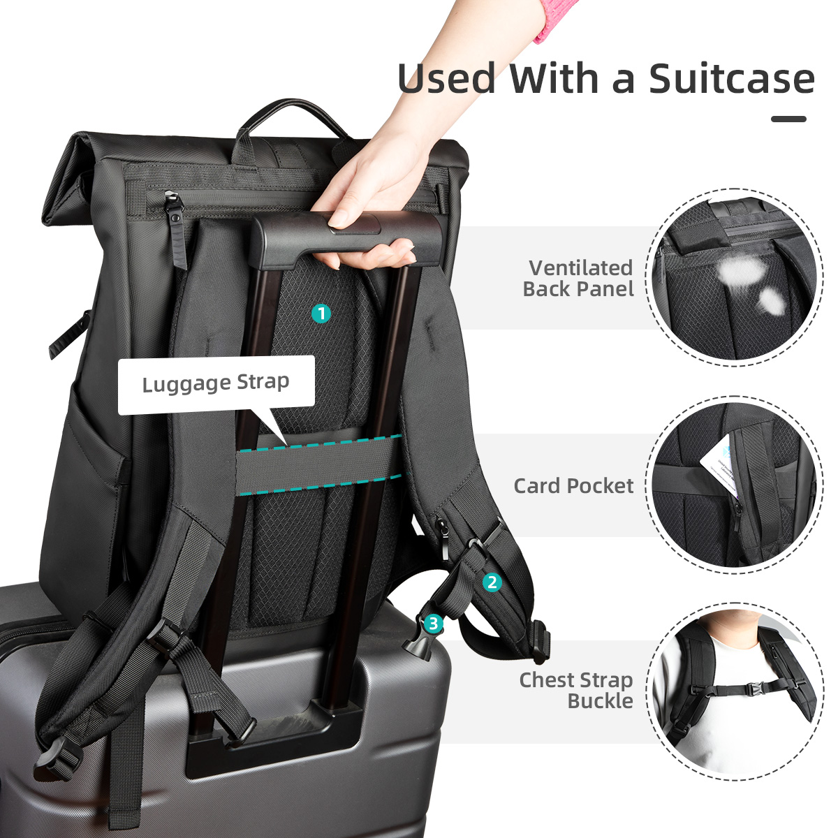 Heroic Knight Lüks Rolltop Sır - Luxury Bags Coach incelemesi ve fiyatı